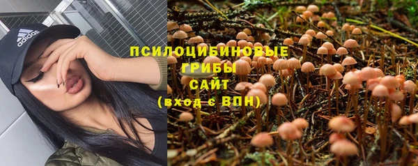 МДПВ Алзамай