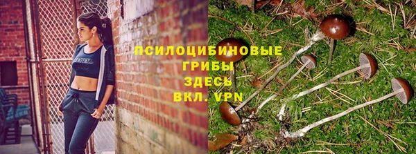 mdpv Алексеевка
