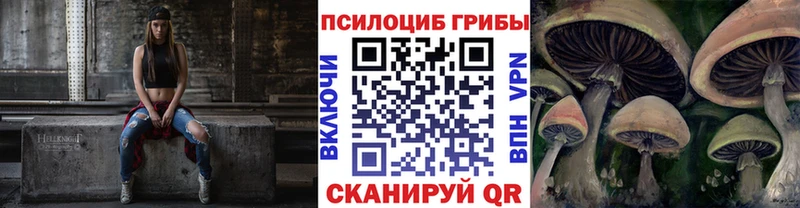 Галлюциногенные грибы MAGIC MUSHROOMS  Бабаево 